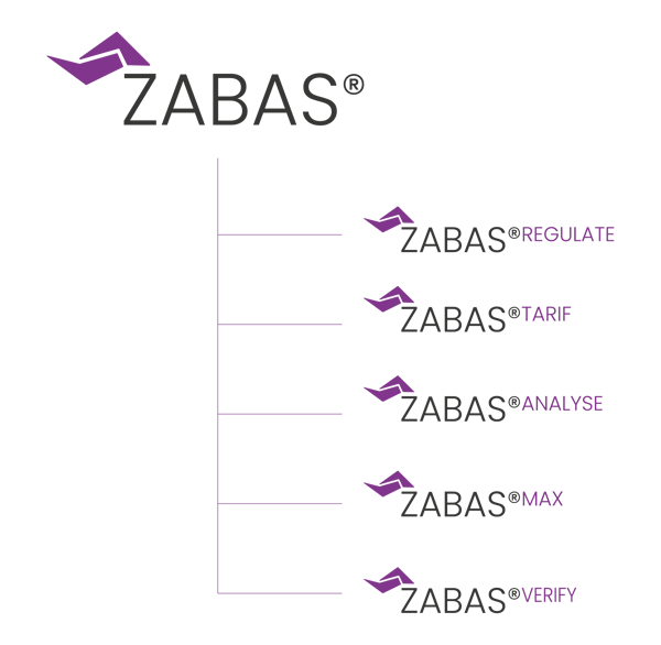 24_07_03_ZABAS_Overview_vertical